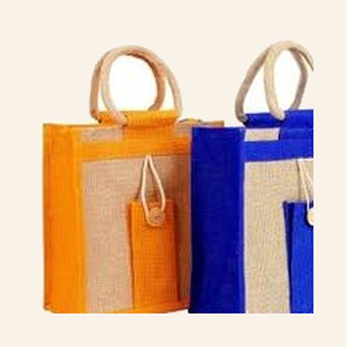 Lunch Bag